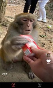 宠物趣看高清版截图4