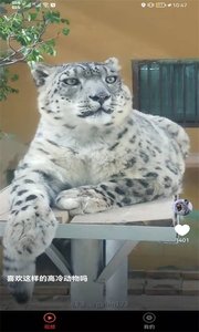 宠物趣看高清版截图3