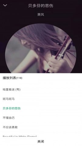 至简音乐播放器官方版截图4