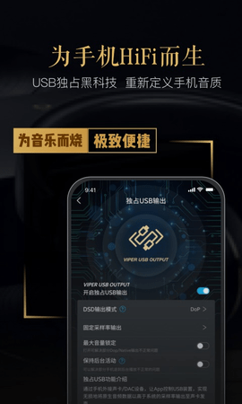 viperhifi车机版截图2