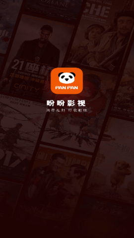 盼盼影视破解版截图2