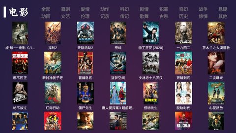 飞扬tv授权码免费版截图2
