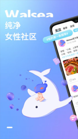 Walsea社交平台在线版