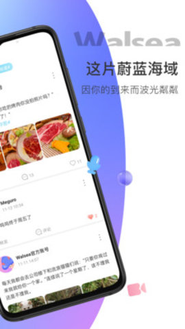 Walsea社交平台在线版截图2