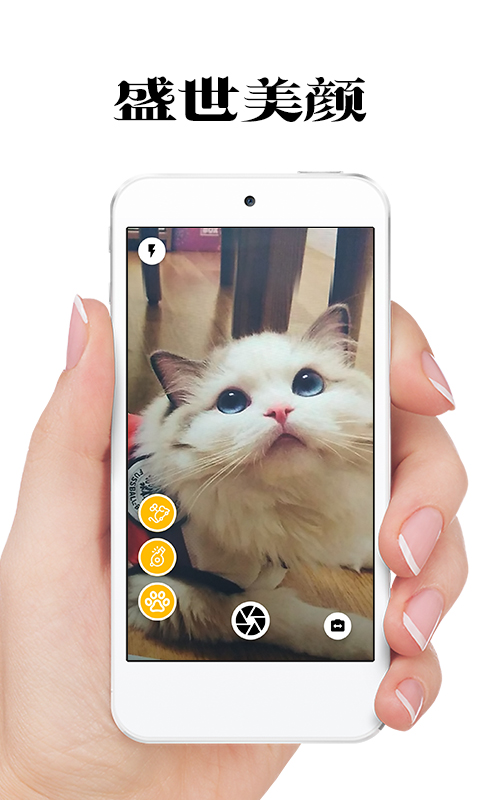 极简猫咪相机无广告版截图3