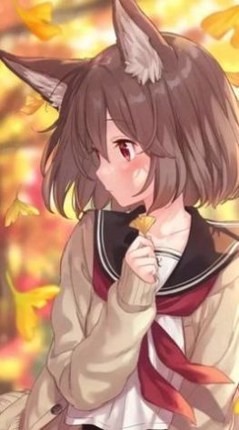 严选漫画官网免费阅读版