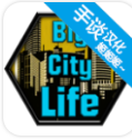 大城市的生活模拟器国际服版
