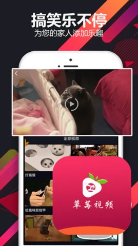 草莓小视频永久免费版截图3