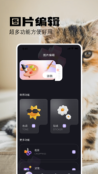 布偶相机正版截图2