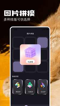 布偶相机官方正版截图4