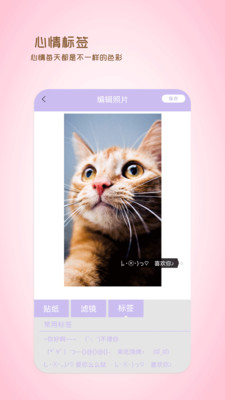 全能美日相机经典版