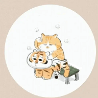 二虎影视在线版