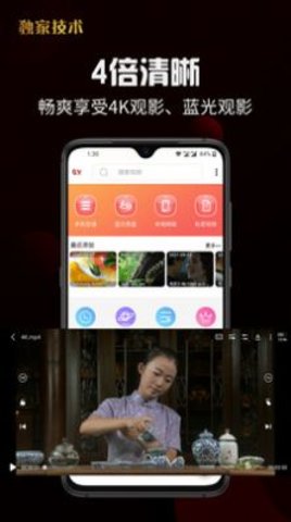 YTV Player在线播放版截图2