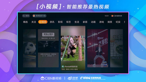 微博视频tv版截图2