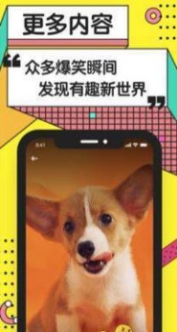黄豆短视频在线观看版截图2