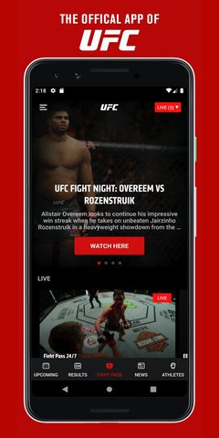 ufc格斗之夜在线版