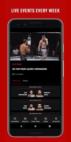 ufc格斗之夜在线版截图2