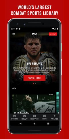 ufc格斗之夜在线版截图3
