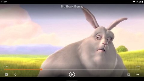 vlc media player免费看版截图3