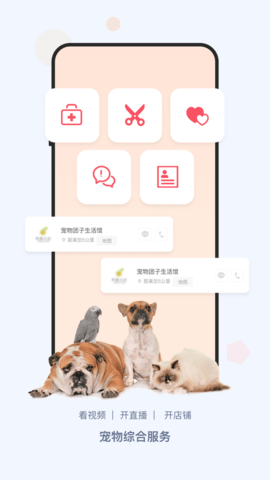 龙平台影视免费看版截图3