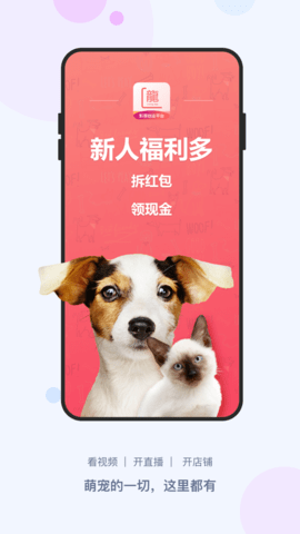 龙平台影视免费看版截图4