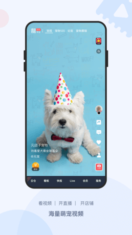 龙平台影视免费看版截图5