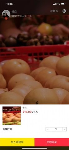 咯咯短视频在线播放版