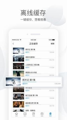 枫林网TV破解版